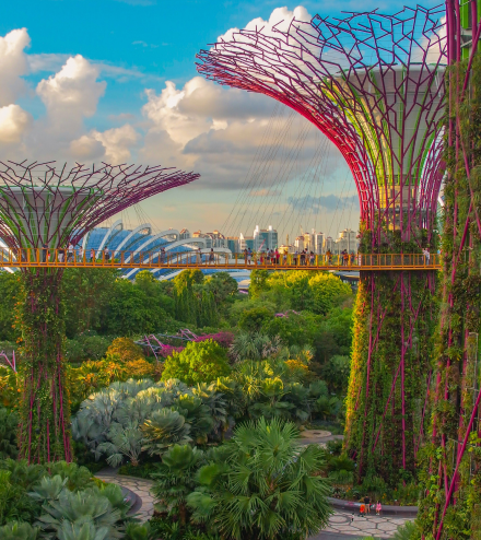 Ltspeed-AI Southeast Asia